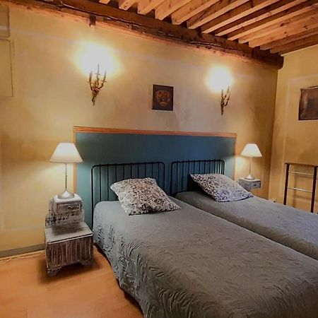 Vieux-Lyon - Maison Renaissance ภายนอก รูปภาพ